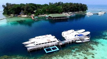 pulau seribu marine